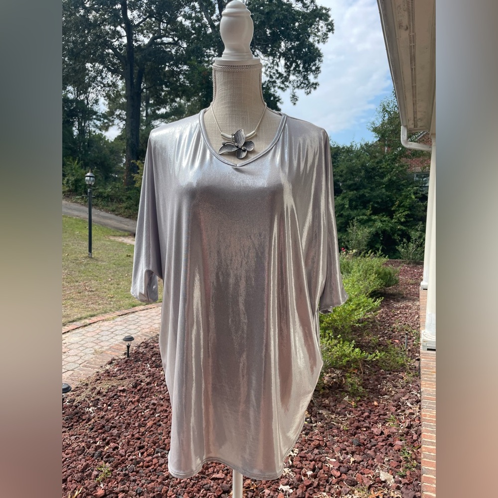 NWOT Silver Metallic Dolman Sleeve Top. Size Small.🪩✨